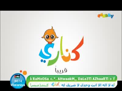 Al Ealaniyah TV